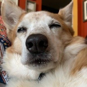 Thanks for stopping by 💛